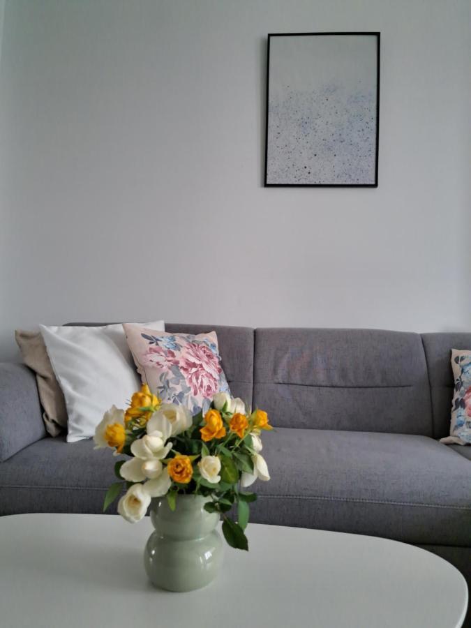 Apartament Onestilor Apartment Oradea Luaran gambar